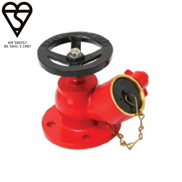 website template image